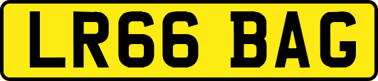 LR66BAG