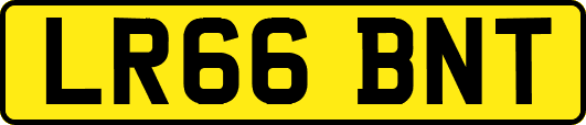LR66BNT
