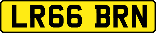 LR66BRN