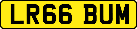 LR66BUM