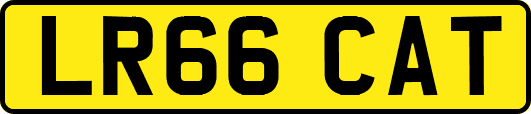 LR66CAT