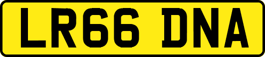 LR66DNA