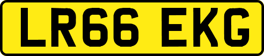 LR66EKG
