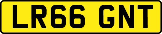 LR66GNT