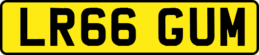 LR66GUM