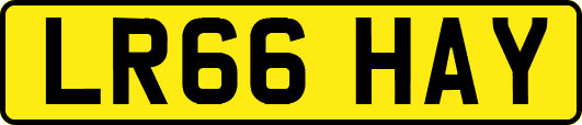 LR66HAY