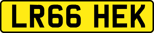 LR66HEK