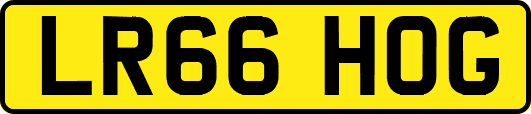 LR66HOG