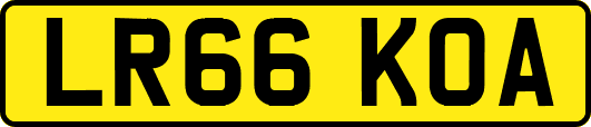 LR66KOA