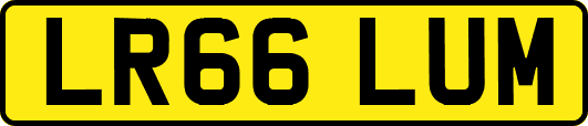 LR66LUM
