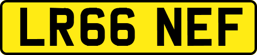 LR66NEF