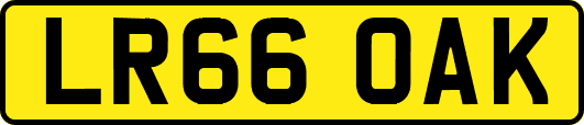 LR66OAK