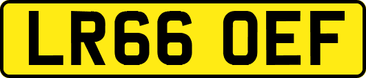 LR66OEF