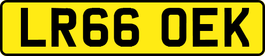 LR66OEK