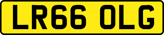 LR66OLG