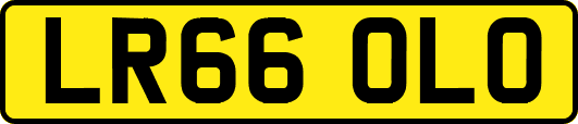 LR66OLO