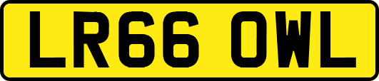 LR66OWL