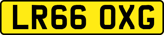 LR66OXG