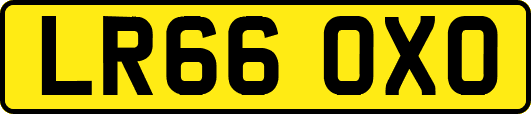 LR66OXO