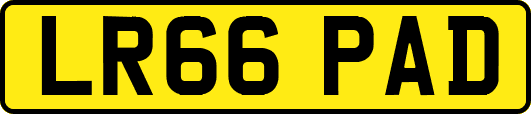 LR66PAD
