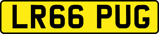 LR66PUG