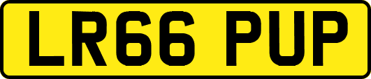 LR66PUP