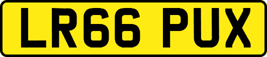 LR66PUX