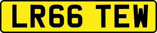 LR66TEW