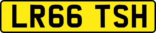 LR66TSH