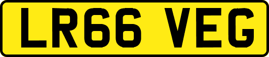 LR66VEG