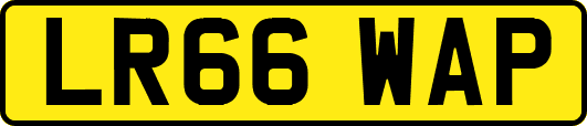 LR66WAP