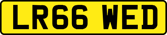 LR66WED