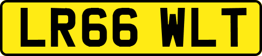 LR66WLT