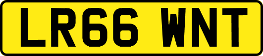 LR66WNT