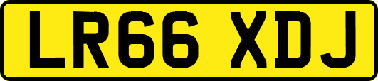 LR66XDJ