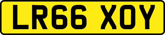 LR66XOY