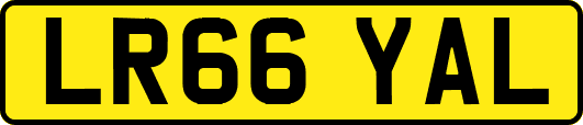 LR66YAL