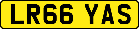 LR66YAS