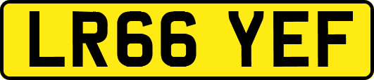 LR66YEF