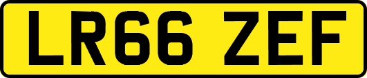LR66ZEF