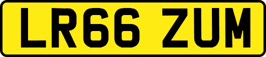 LR66ZUM
