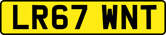 LR67WNT