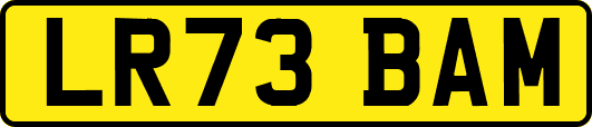 LR73BAM