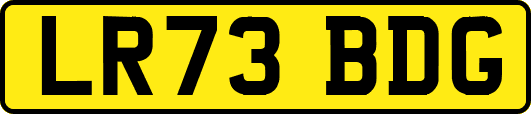LR73BDG