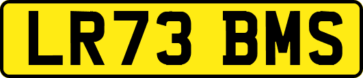 LR73BMS