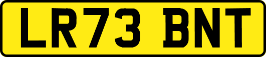 LR73BNT