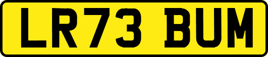 LR73BUM