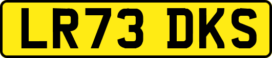 LR73DKS