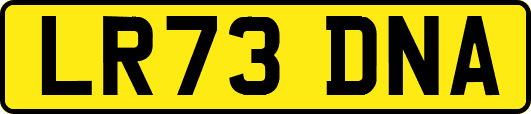 LR73DNA