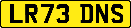 LR73DNS